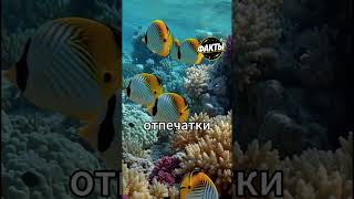 Топ 10 ФакТов, которые звучат как выдумка, но это правда #факты #интересно #природа #космос #fyp