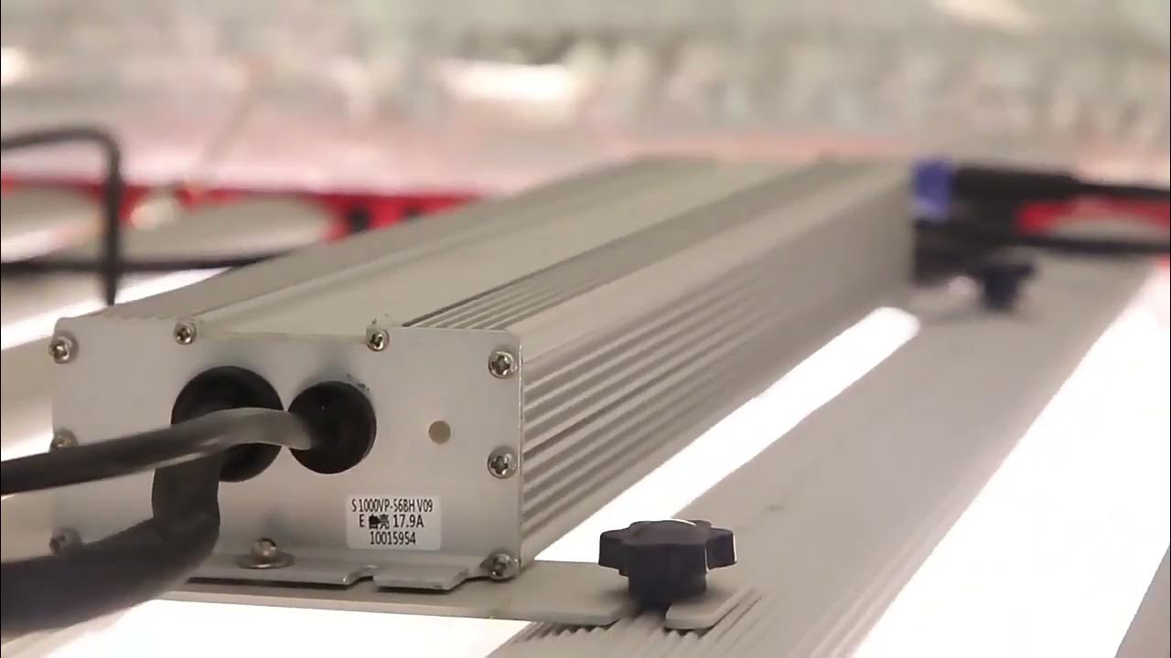 AGLEX Light Bar Series LED Grow Lights YouTube