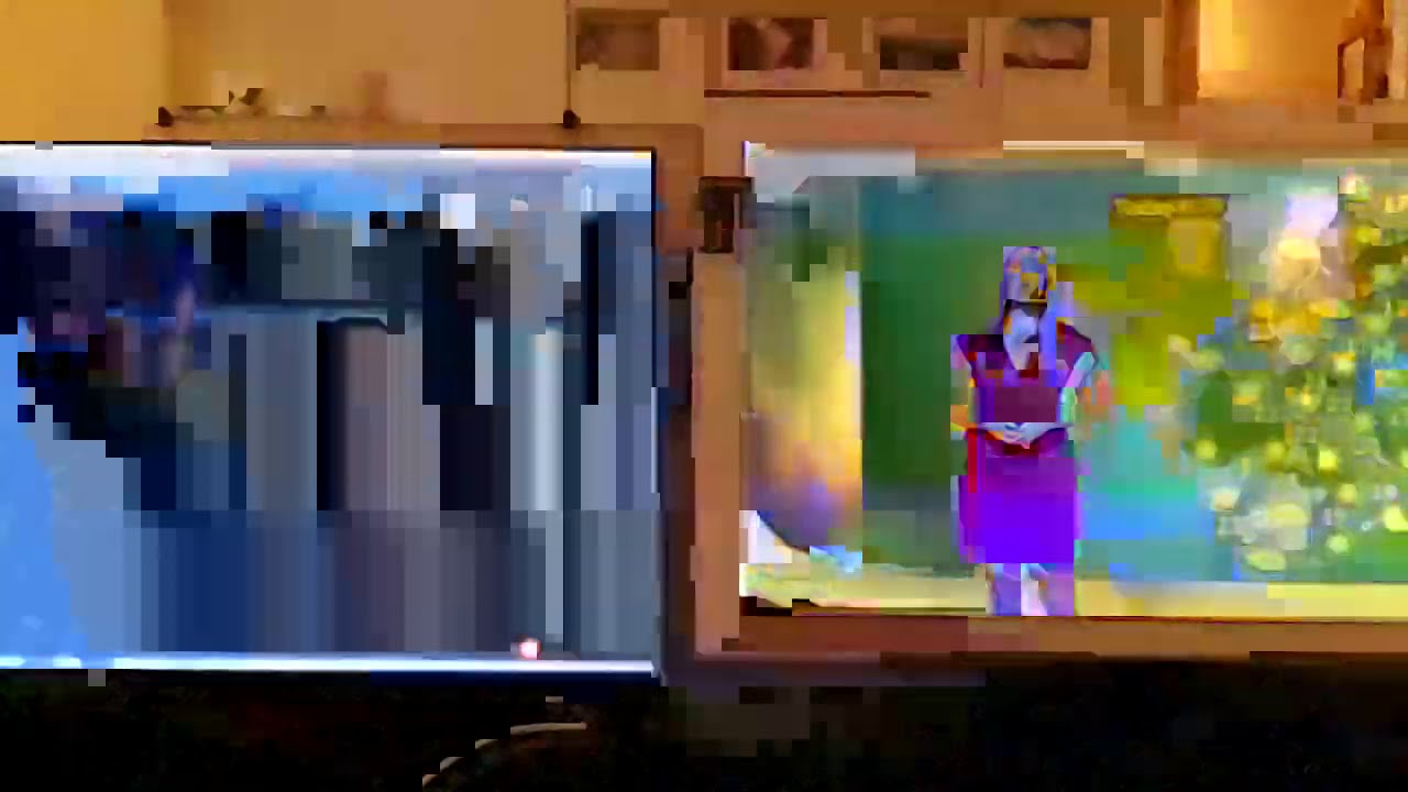 LG C9 OLED BFI Compared to PWM (Super SlowMotion)