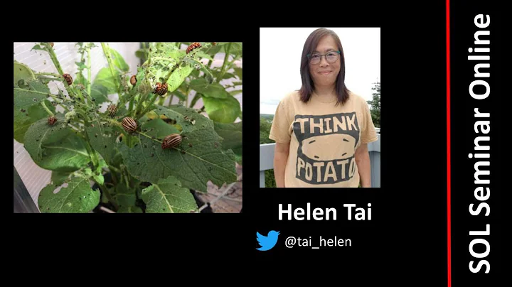 Helen Tai - Solanaceae and The Colorado potato bee...