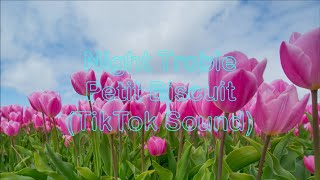 Night Troble - Petit Biscuit (TikTok Sound)
