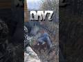 Дим з будинку = хтось живий. На Сахалі це завжди небезпека 💀#dayz  #sakhal  #pvp  #shorts  #dayzua