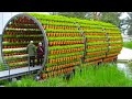 10 AMAZING FARMS YOU HAVEN&#39;T SEEN BEFORE