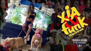MC LINA E MC RAEL ST - QUICA PULA ( DJ HN NO ALVORADA )