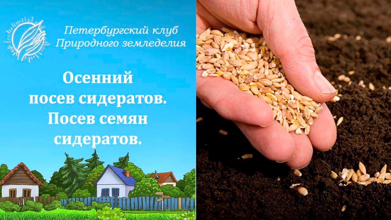 Земледелец Интернет Магазин Нижний Новгород