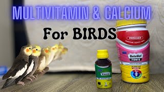 Best Multivitamin & Calcium for Birds (हिन्दी)