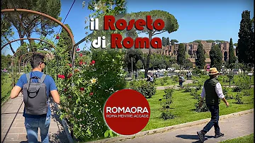 Quando visitare il roseto comunale Roma?