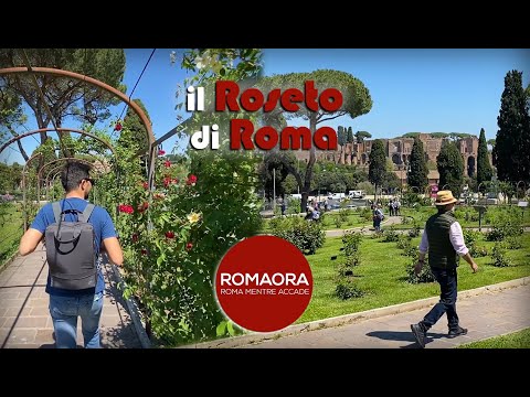 Il ROSETO comunale di ROMA