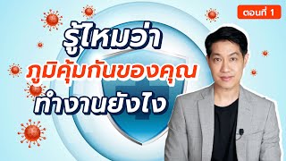 รู้ไหมว่าภูมิคุ้มกันของคุณทำงานยังไง ? (ตอนที่ 1) : [EP16] เรื่องเล่าจากร่างกาย