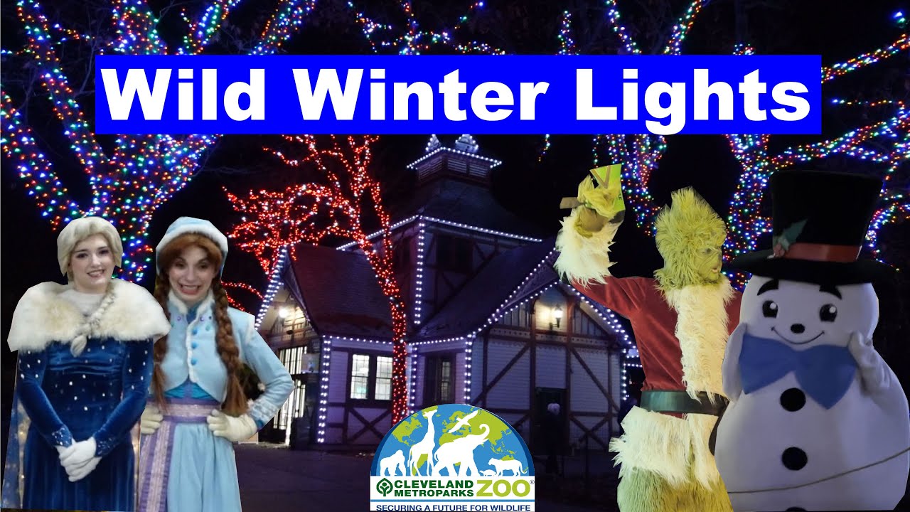 Cleveland Zoo Wild Winter Lights 2023 Walkthrough, Characters, and