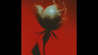 Free Rb Isaiah Falls Ardn Type Beat Lvrs Freestyle