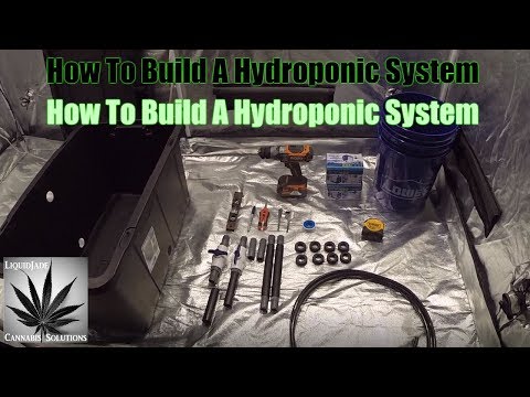 How To Build A Hydroponic System