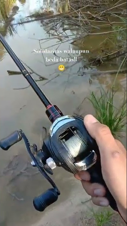 story wa mancing