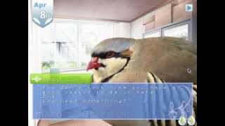 Let's Play Hatoful Boyfriend Part 01 - Welcome To PigeoNation's [Shuu] screenshot 4