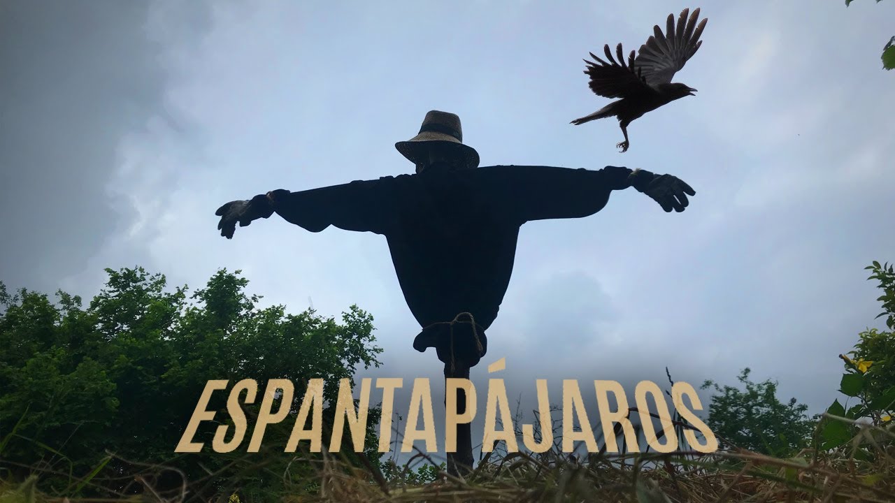 Como hacer un ESPANTAPÁJAROS