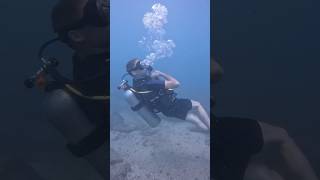 Дайвинг 14.02.25 На Шри-Ланке. Унаватуна