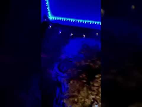 Roddy Ricch Ballin Mashup 