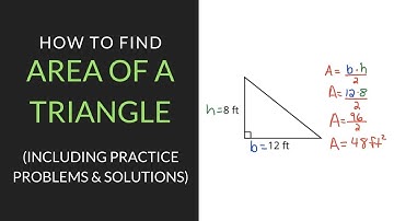 How to find Area of a Triangle | 6th Grade | Mathcation.com