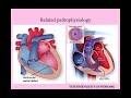 Cardiac Disease in Pregnancy - CRASH! Medical Review Series