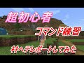 マインクラフト コマンド練習 村へテレポートしてみた ちびカラス 16 マインクラフト コマンド練習 村へテレポートしてみた ちびカラス 16