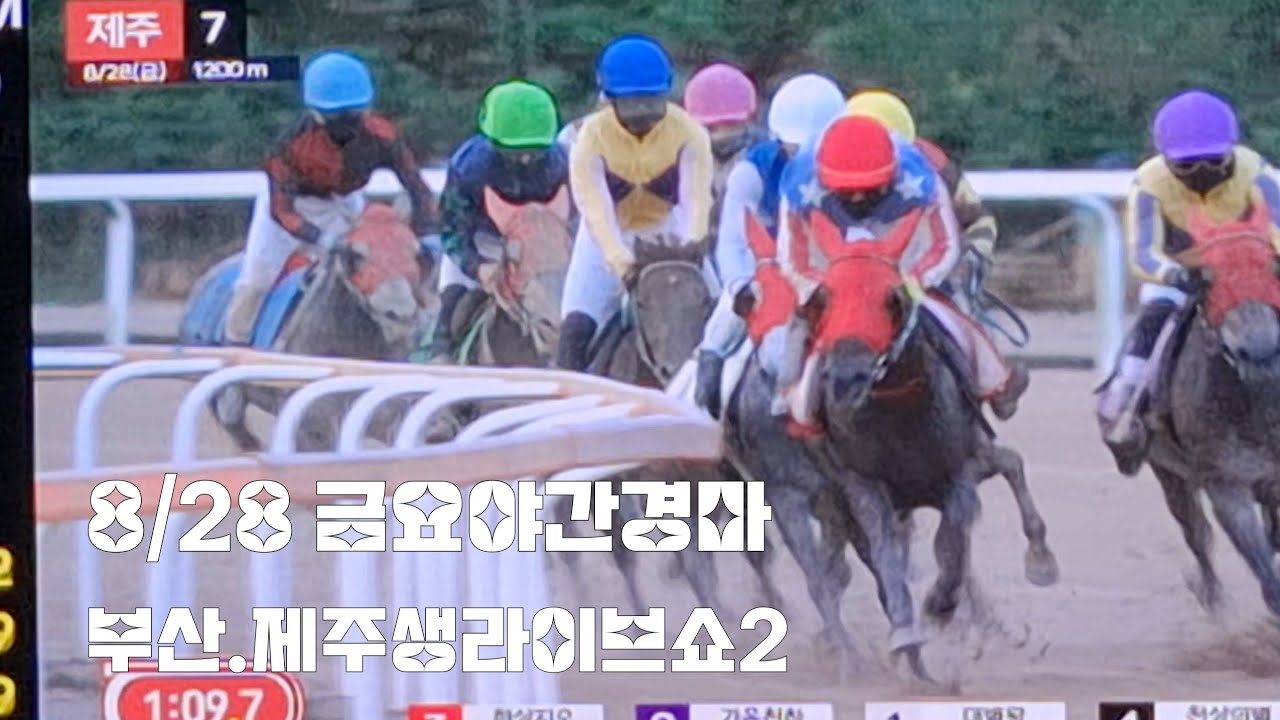 금요야간경마 부산.제주 생라이브쇼2(막경주 승부봤더니 동착이네~ 쩝)