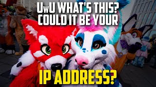 Gay Furries HACK Project 2025 Organization