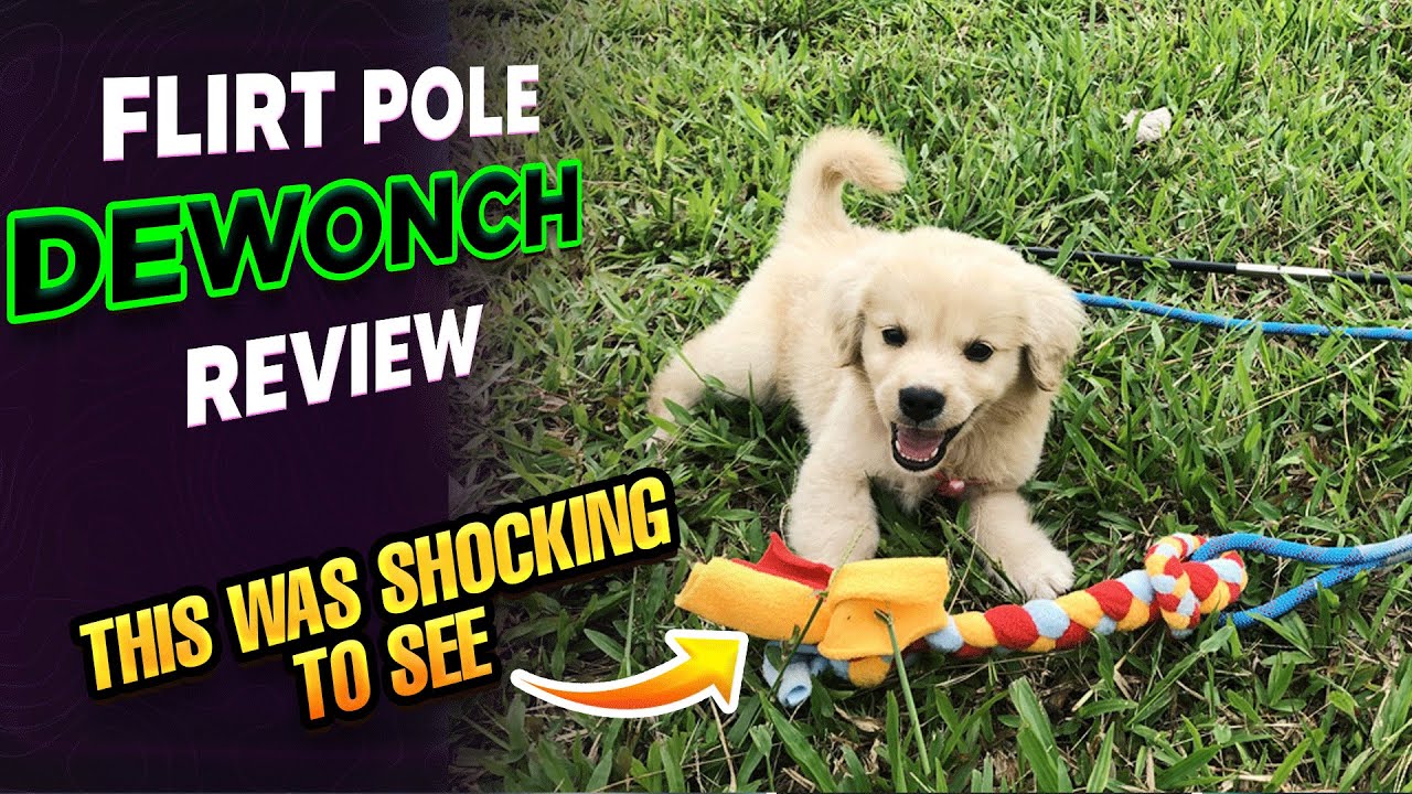 BEST FLIRT POLE FOR DOGS | Flirt Pole Dewonch REVIEW
