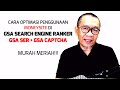 Cara Meletakkan Moneysite di GSA yang benar agar Teroptimasi