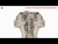 Amber - Colour of Love (Mousse T & Borris Dlugosh Remix)
