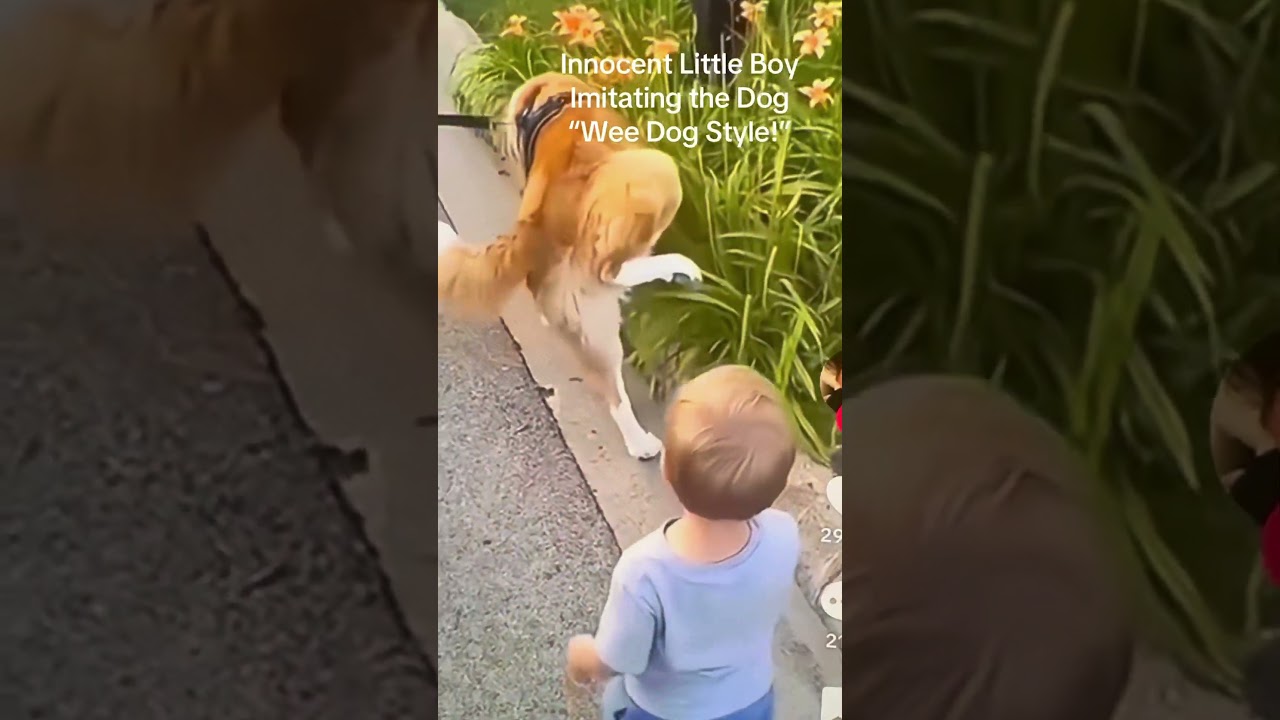 Funny Moments #boy #imitating #everything One day when this #boy #grow s up, He’ll see how