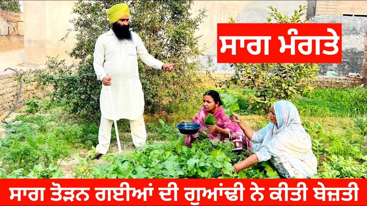 ਸਾਗ ਤੋੜਨ ਗਈਆਂ ਦੀ ਗੁਆਂਢੀ ਨੇ ਕੀਤੀ ਬੇਜ਼ਤੀ sag toran gyian di bejati Punjabi short video #sag #bejati 