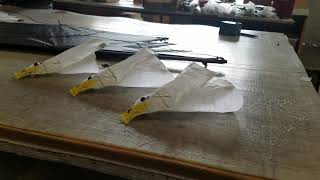 Rev Eagle shipments go International!