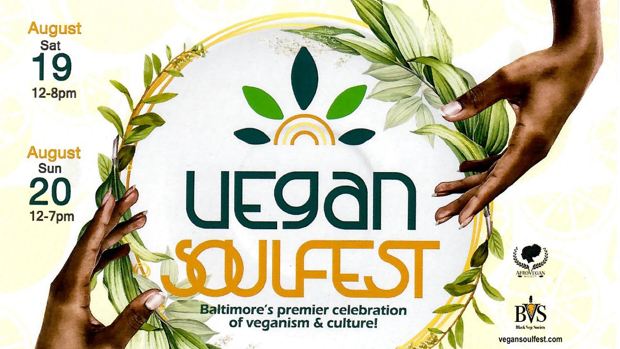 WHAT's IN STORE FOR VEGAN SOULFEST 2023? YouTube
