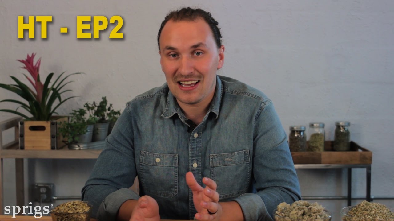 Does Herbal Medicine Really Work? YouTube