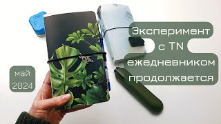 Стабилизировалась в формате записей | Самодельная обложка TN portable | эпизод 2