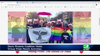 Davis Phoenix Coalition holds virtual pride month activities