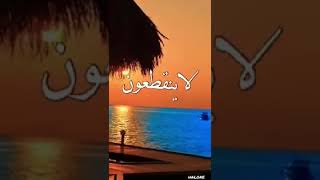 شاشه حالات وتس حالات ماوقفت عليهم