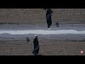 NJ - လေပြေ  [Official Music Video] #FGEntertainment #MusicVideo