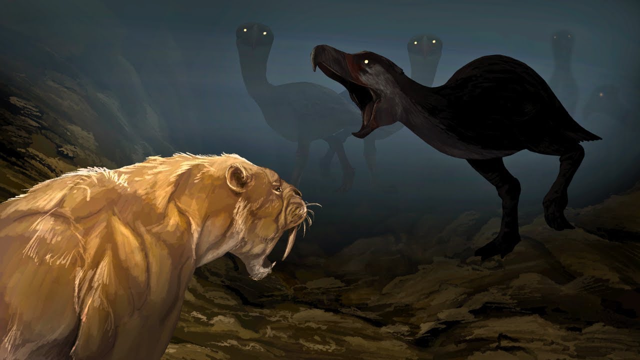 Gdy obie Ameryki się ze sobą połączyły - Wielka Amerykańska Wymiana Fauny