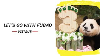 [Vietsub] Let's go with FuBao - Fubao Song 푸바오와 함께 가요 ♬ HAPPY SCENT(해피센트) #panda #fubao #푸바오