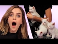 Emma Watson Plays With Kittens (While Answering Fan Questions)