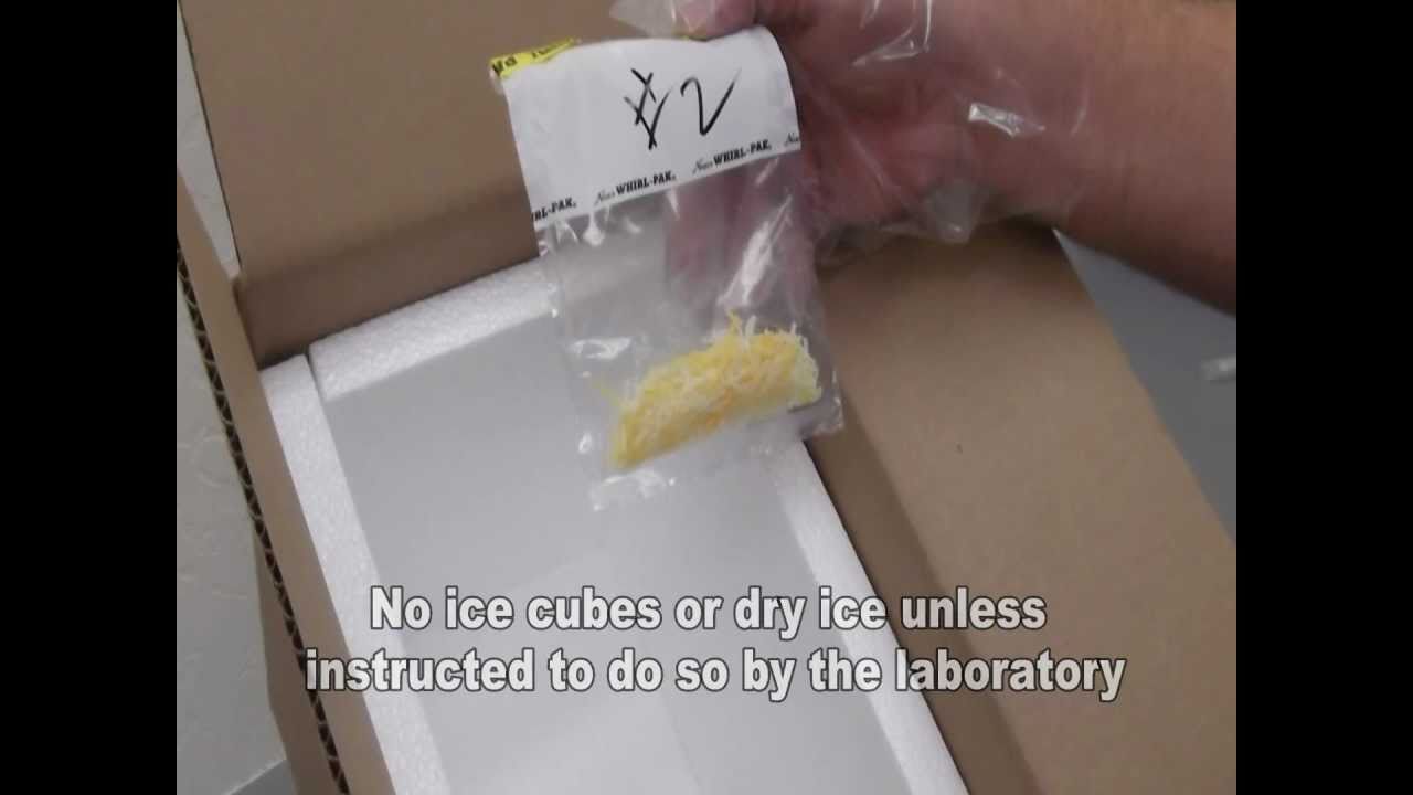 Food Sampling Instructions YouTube Food Sampling Instructions YouTube