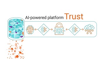 Customer Experience Optimization