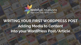 How to write article in WordPress | How you can create your first WordPress Post