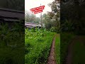 kitambis Binuangan Misamis oriental Philippines