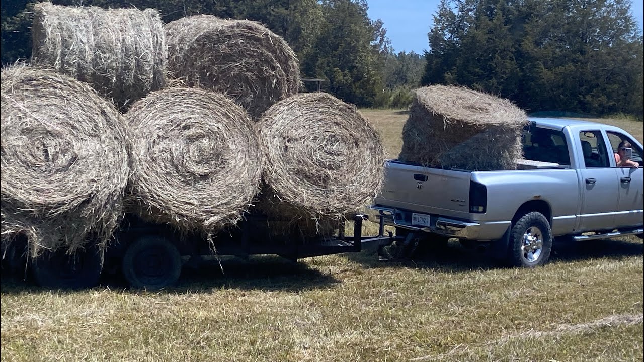Hay Days at Big W Farms