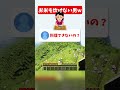 みんな料理できるの...?【マイクラ】