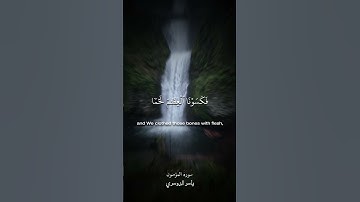 ولقد خلقنا الإنسان من سلالة من طين | سورة المؤمنون | ياسر الدوسري