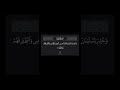 و ح ش ر ل س ل يمان ج نود ه م ن الج ن و الإ نس النمل ١٧ الشيخ علي جابر