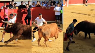 Capea Encierro De Toros Bravos Arriazu Caminero Pedrajas De San Esteban Valladolid